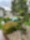 IMG_9674.jpeg
