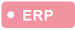 01erp.png