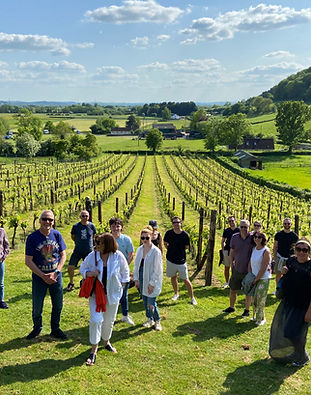 Fenny Castle Vineyard