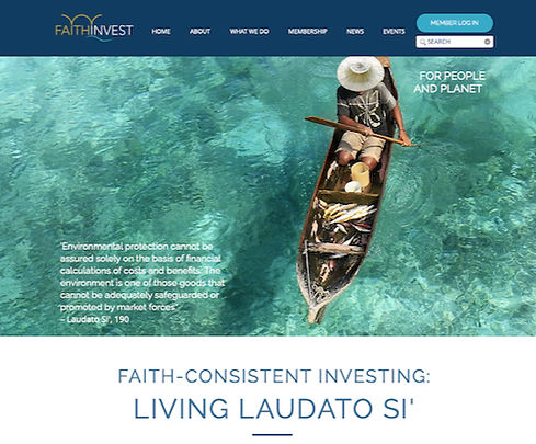 Screengrab of the Living Laudato Si home page