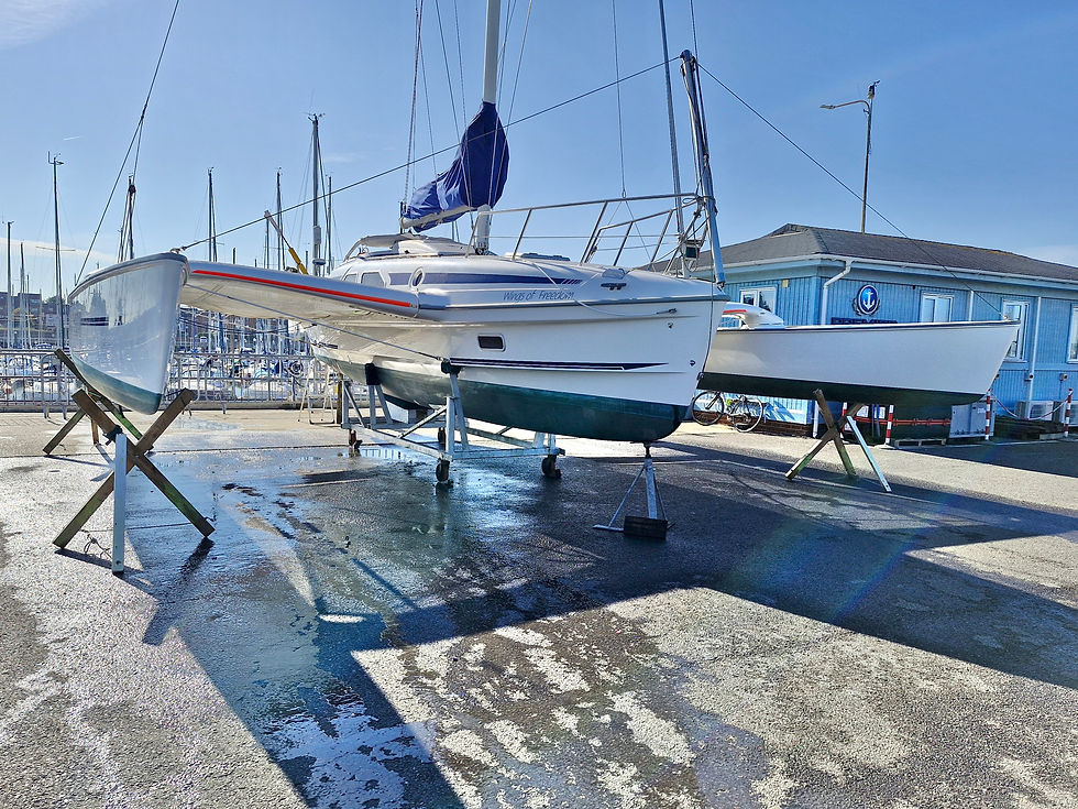 Sun and shine! sept 26.jpg