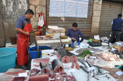 Catane le marché aux poissons