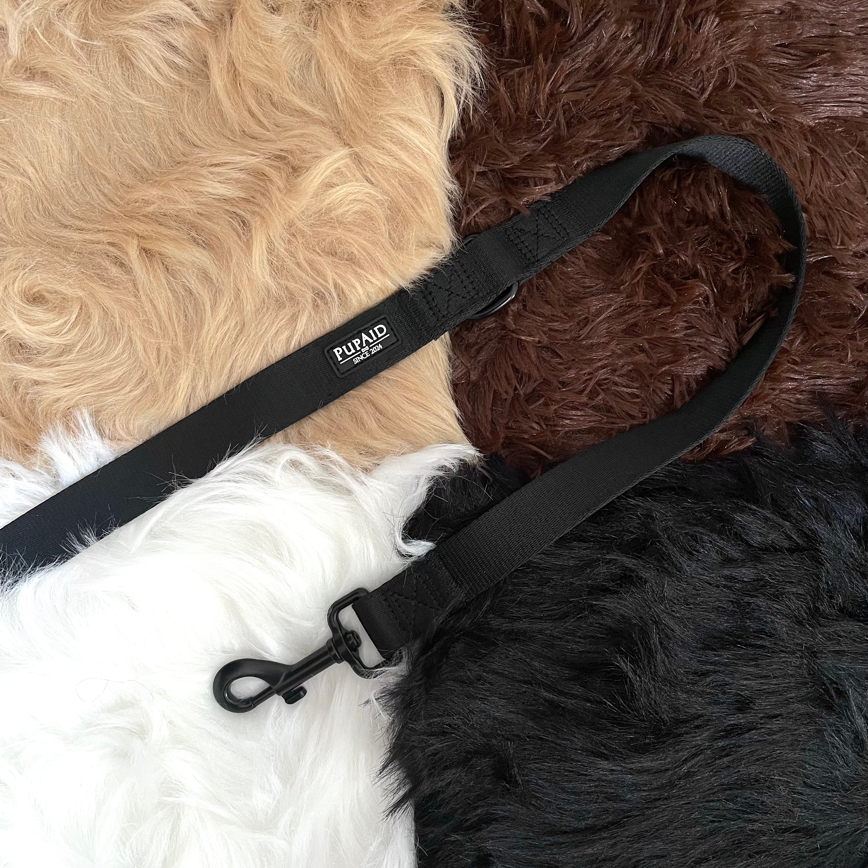 Hundeleine Flow von PupAid