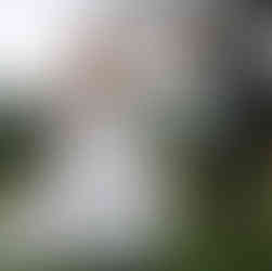 highley manor wedding venue - wedding videographer