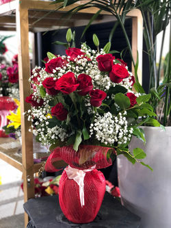 Rose Supreme