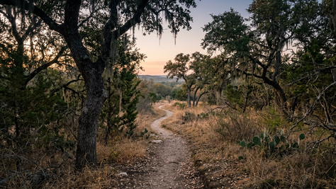 a quiet Texas walking trail at sunrise