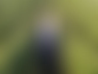 Salon Champagne and the Art of Taking Time