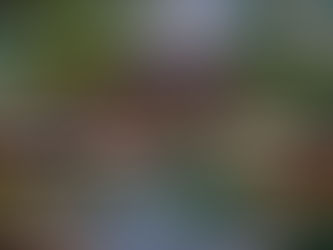 ルイ・ヴィトンが中国・四川省成都市で営業するレストラン「The Hall by Louis Vuitton」がミシュラン1つ星を獲得