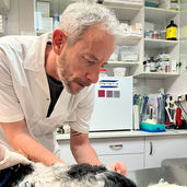 ד"ר אבישי גרינגרד בדיקור וטרינרי במרפאה