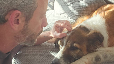 טיפול בבית הלקוח - בסביבה הטבעית של כלבכם. ד"ר אבישי גרינגרד