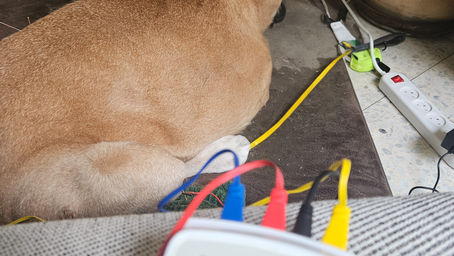 טיפול במכשיר אלקטרו-אפוקנטורה (AS SUPER 4) בביתו של בילו - ד"ר אבישי גרינגרד