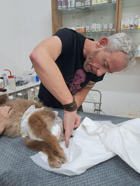 ד"ר אבישי וטרינר בטיפול במרפאה וטרינרית חדרה