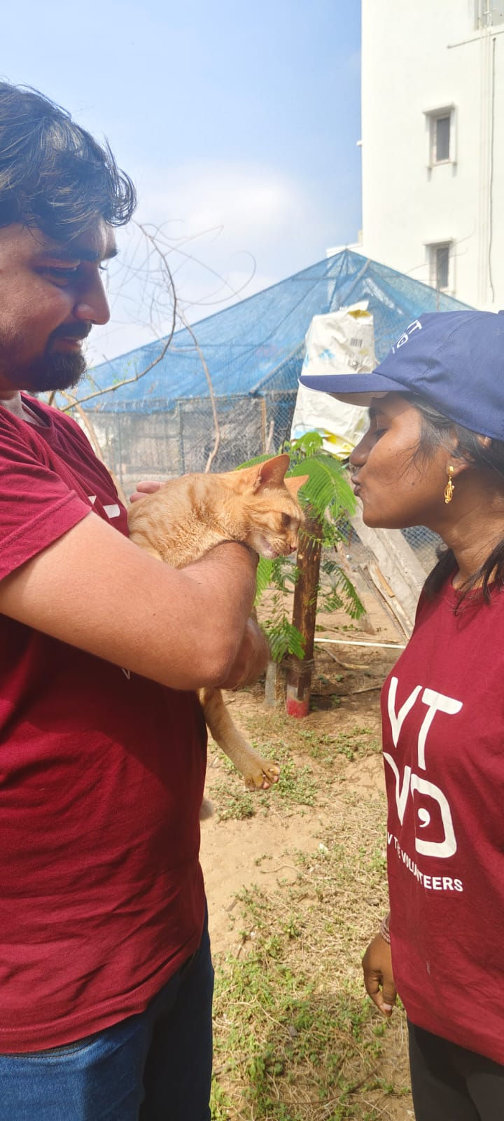 Chennai : VPaws @ Prithvi Animal Welfare Society (PAWS), Kovalam # CatChristmasCelebration
