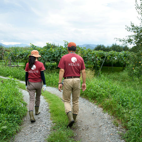 山形新聞に掲載されました