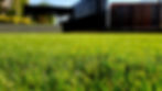 artificial-turf.jpg