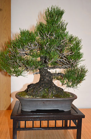 DSC_5576_edited.jpg