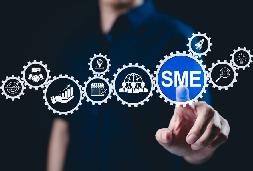 Small to Medium-Sized Enterprises (SMEs)