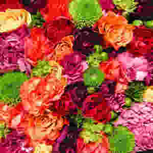 A73DAB86-5D7B-488E-A81E-C313E1CC29F1