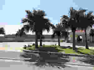 344C0BC1-FB33-4E04-BF09-28ECC2F29769