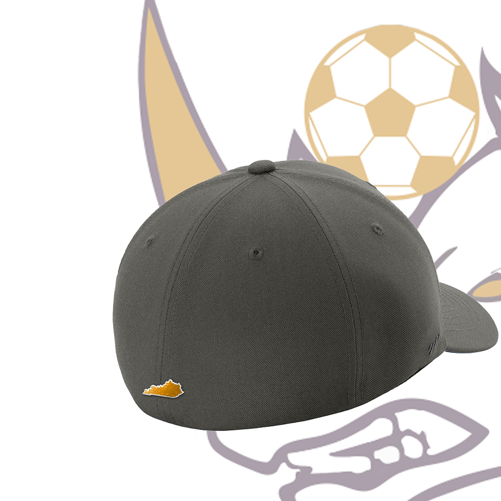 Thumbnail: Flexfit Stretch Cap