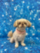 326330151_895106074970463_233136715779122880_n