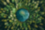 earth-forest-concept-ai-generated.jpg