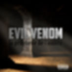 Miniature : Album Evil Venom - La Prophétie de L'Ombre