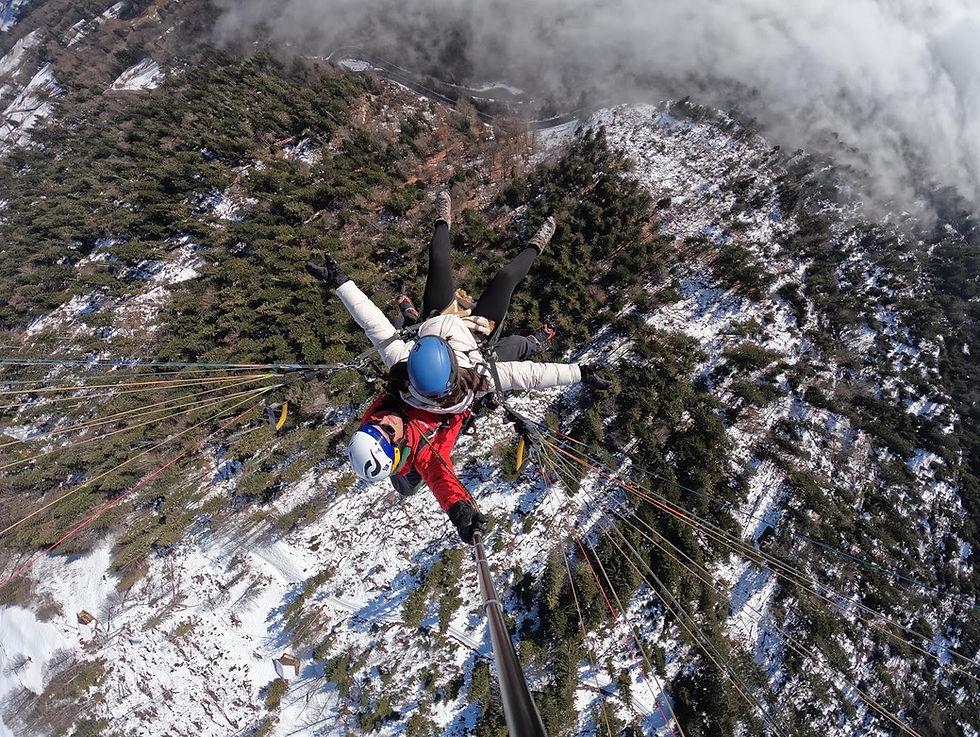 A New Year, A New Journey: Where Will You Travel This Year?