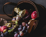 quin-engle-rZ7BAv0Cku4-unsplash 1.png