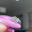 Thumbnail: F2-26 i6 Regal Jumping Spider
