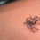 Thumbnail: V13 i6 Regal Jumping Spider