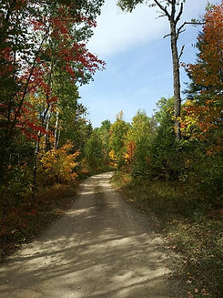 trailpic2.jpg