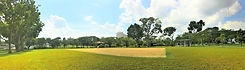AMK NParks Activity Lawn.jpeg