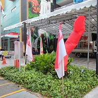 Singapore National Flag Decoration