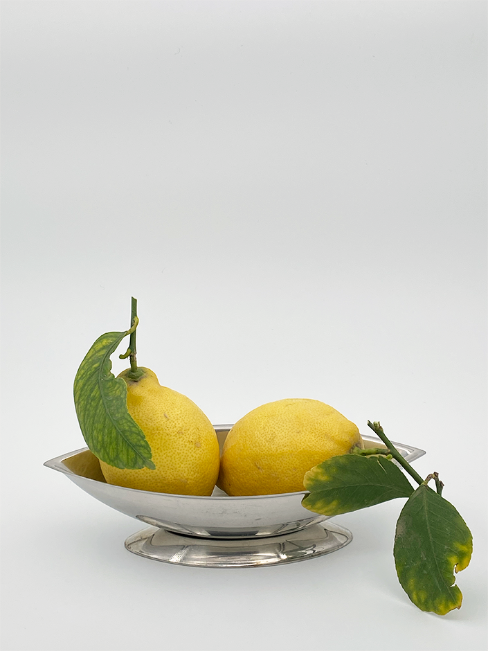 Miniature : Coupe en inox Guy Degrenne
