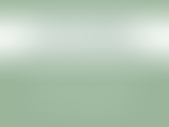 Stake General Priesthood Meeting