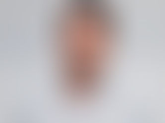 Will Gee - Balti Virtual