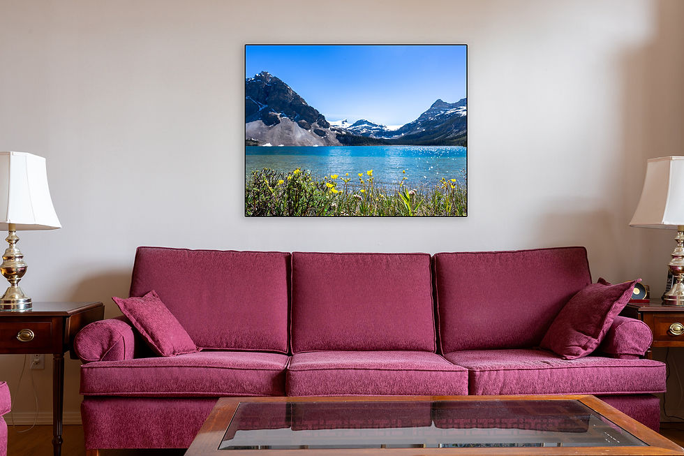 Thumbnail: Potentilla Gold Star Bow Lake