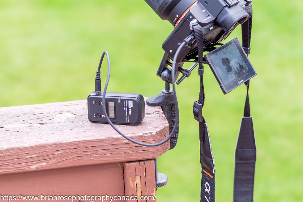camera clamped to handrail with wireless remote shutter control connected