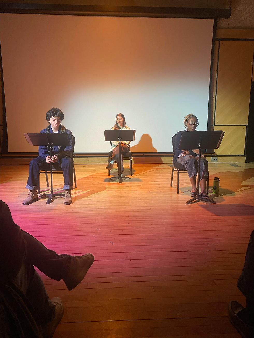 Bleach Stains Staged Reading