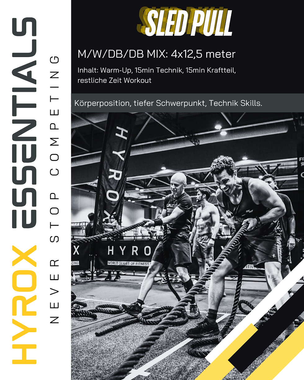 Sled Pull – der komplette Guide