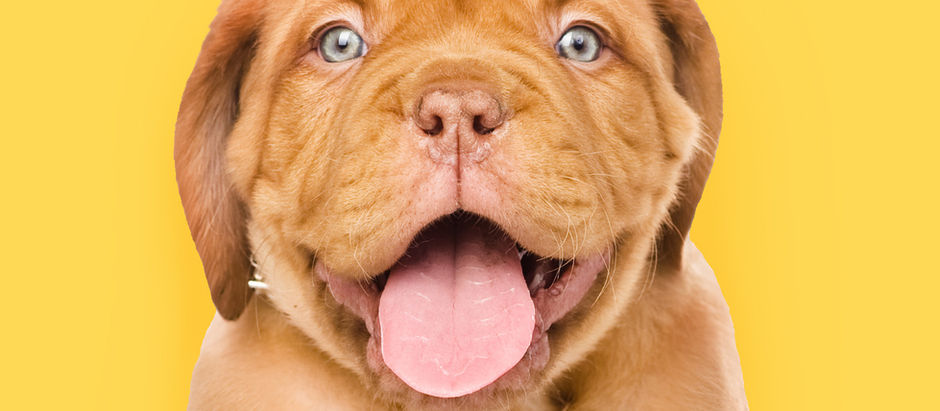 How to be Happy: Is Happiness a sales pitch?