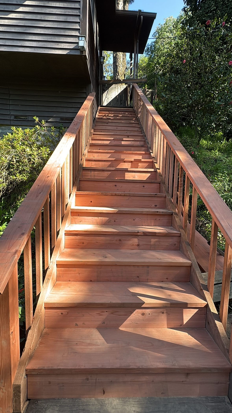 5759E66F-71CB-428B-A45D-3F0E13771AC3.JPG