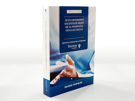 Taking security in IP: the case of an e-commerce enterprise