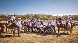 Cabalgata Zaragoza 2014