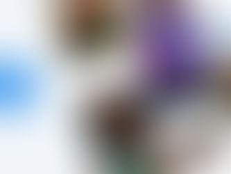 What is Meta Verified? Everything You Need to Know in 2023