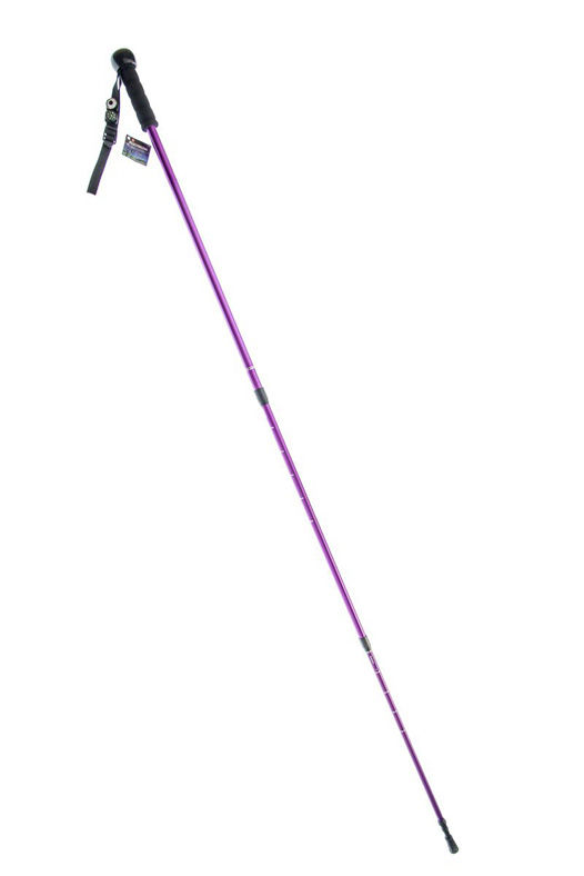 Collapsible Walking Stick w/ Rifle Mount