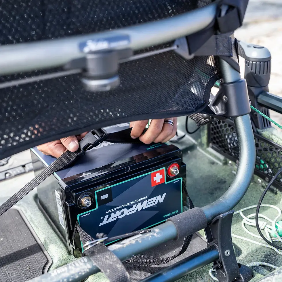 Thumbnail: Newport 12V 50Ah Lithium Battery