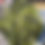 Thumbnail: Swedish M90 Splinter Camo Field Jacket Unissued