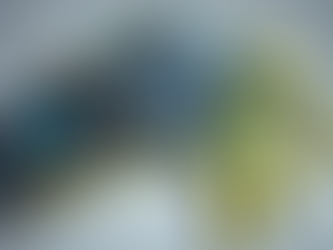 Revolutionizing Labor-Intensive Tasks with Dextrous Robotics